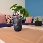 Le Matisse