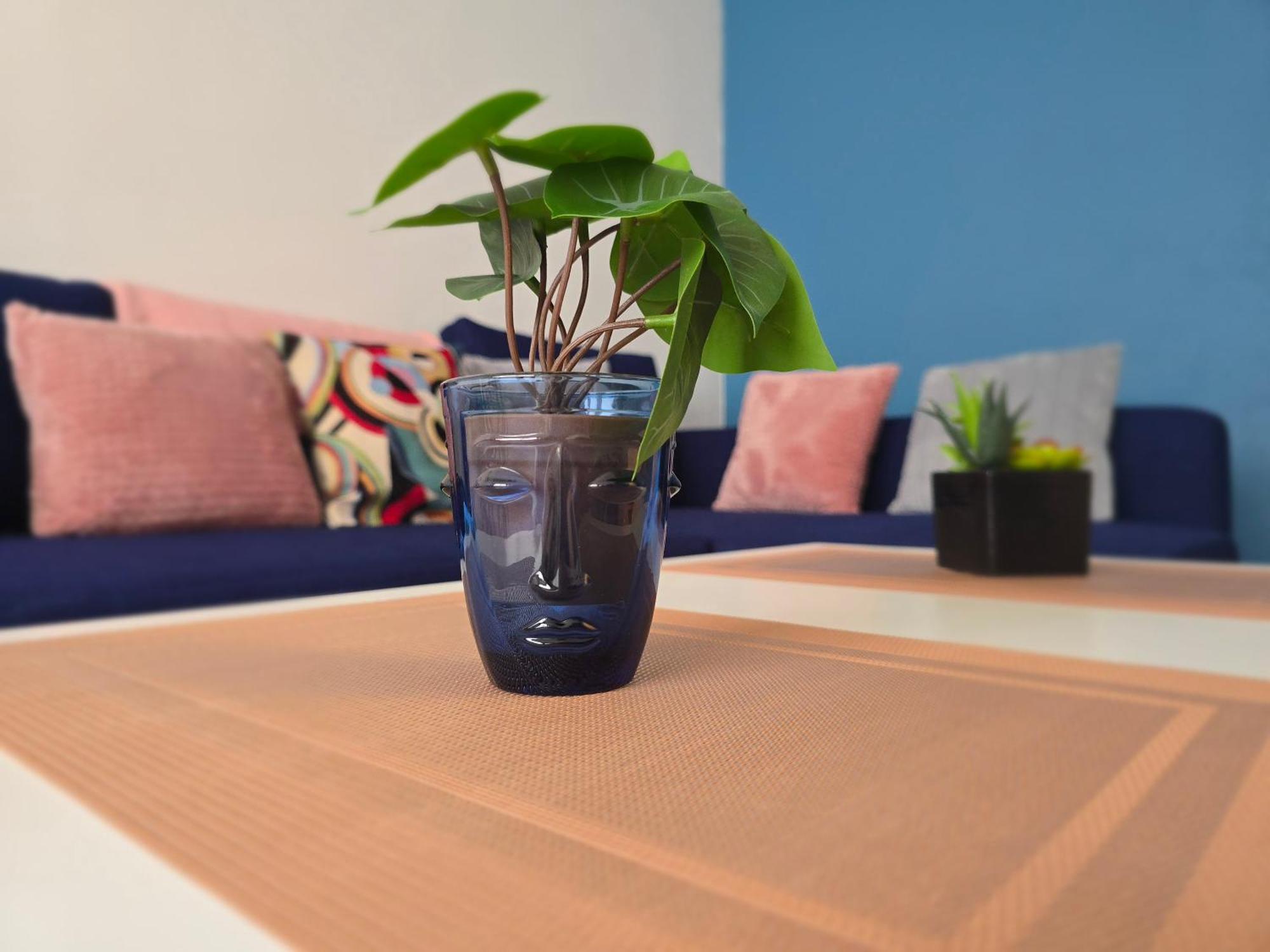 Le Matisse Appartement